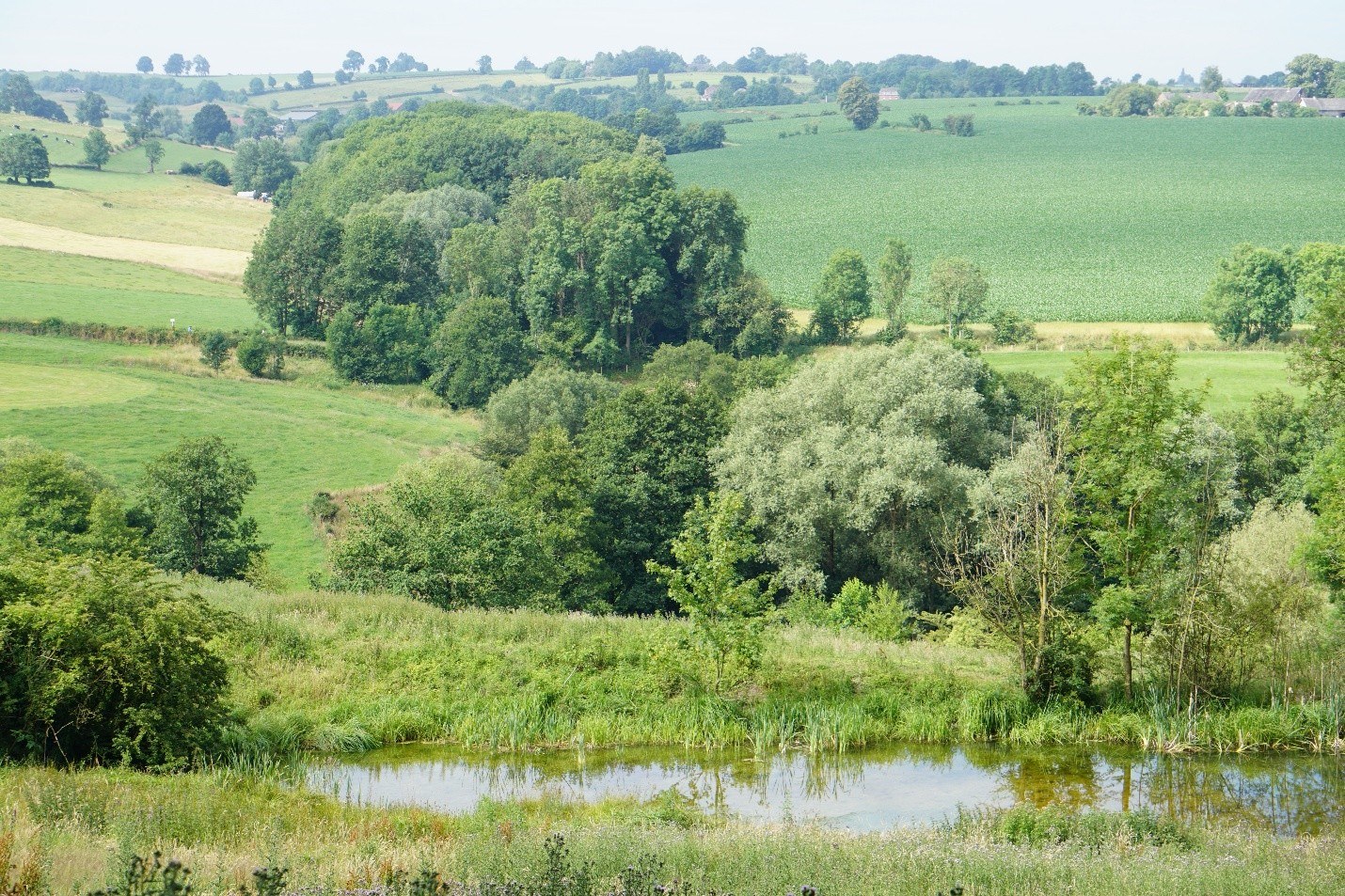 Afbeelding29