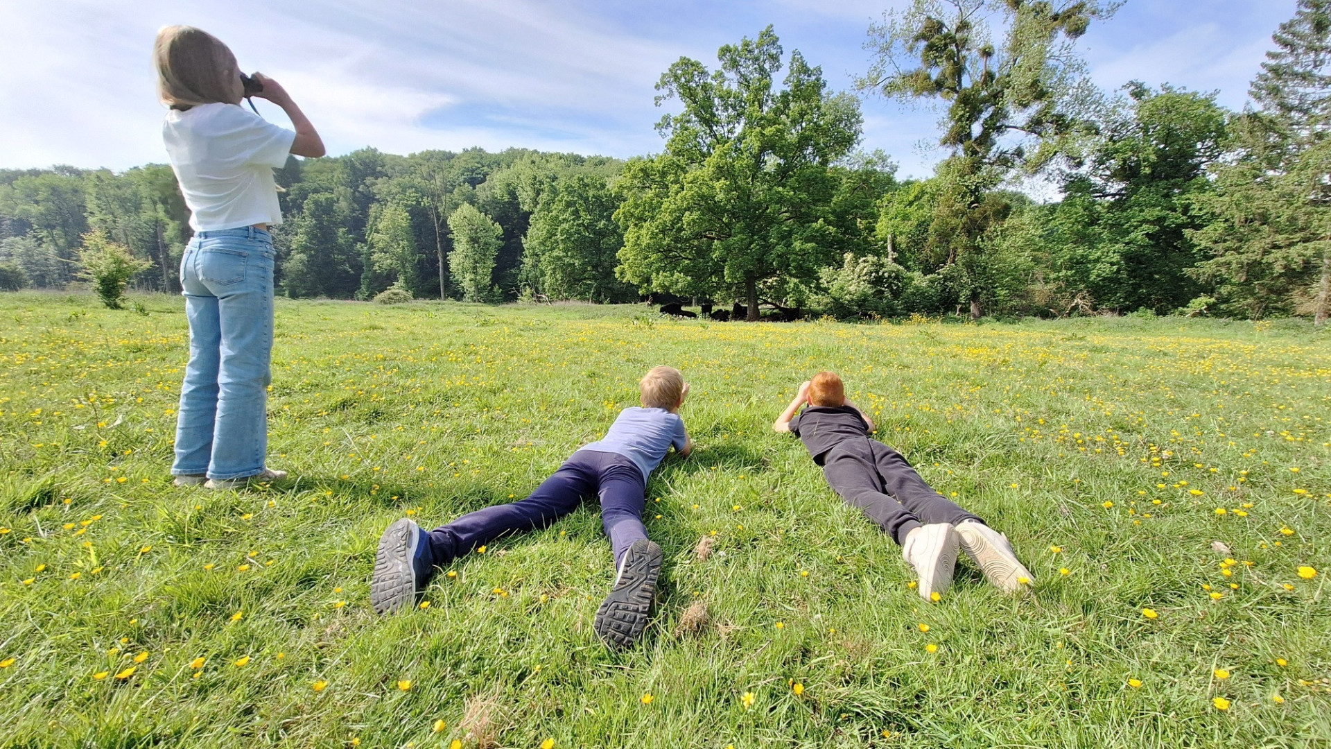 20250521 103137 resized