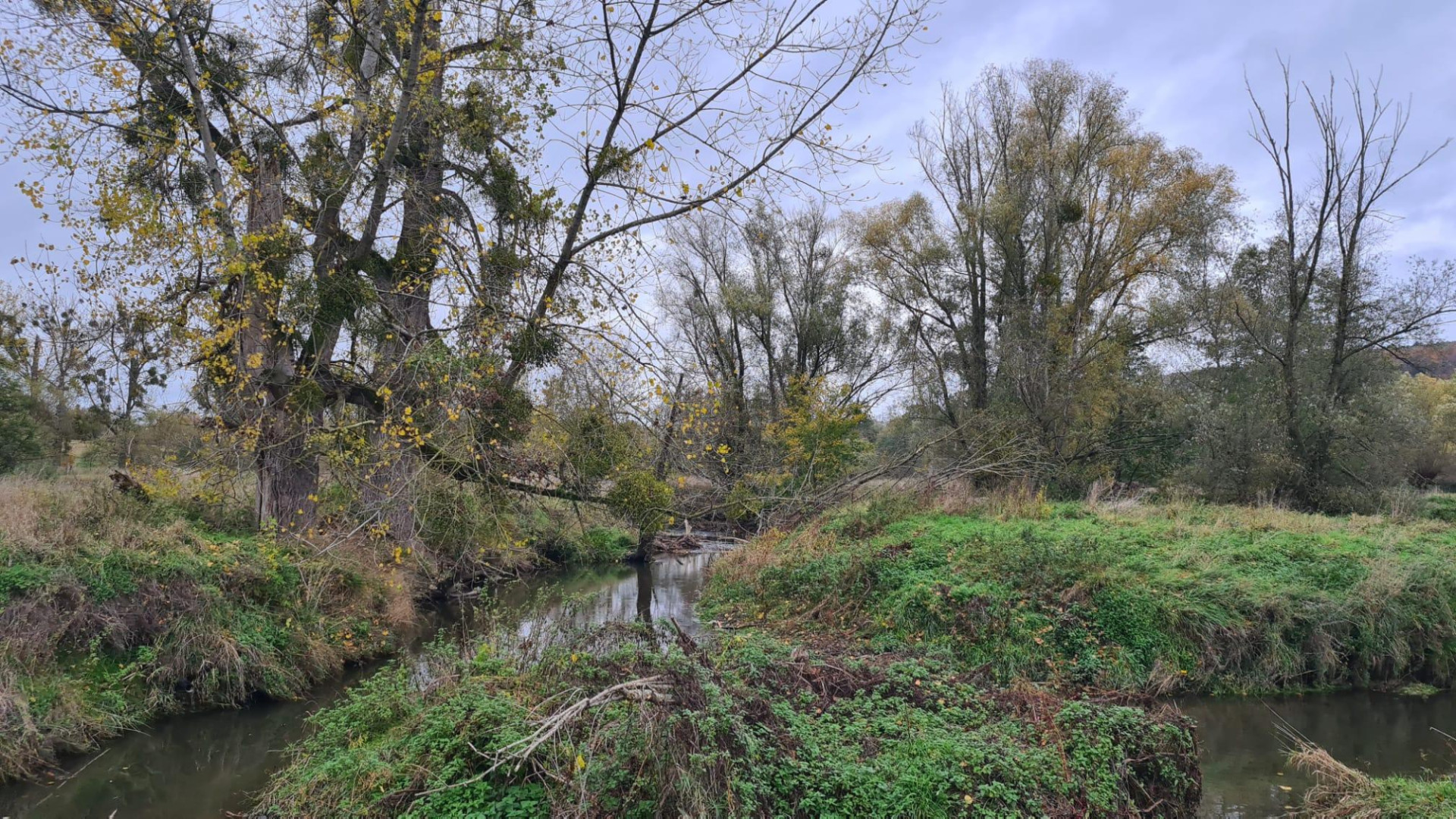 Geuldal oktober 2025 AnneMarie Pronk.jpg