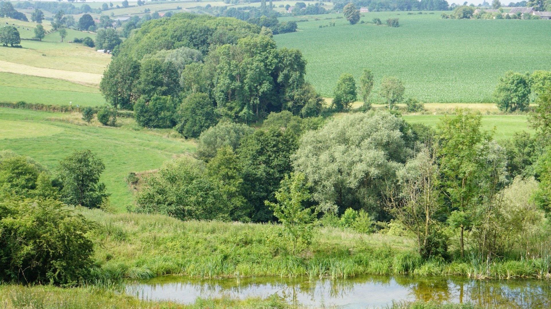 Afbeelding29