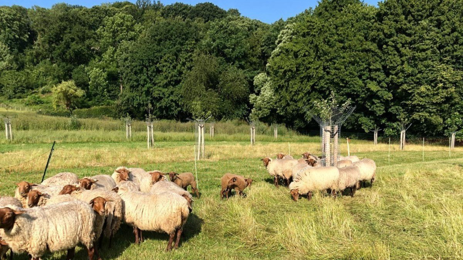 A81919aa 5541 47c7 a623 1ef21331df8f