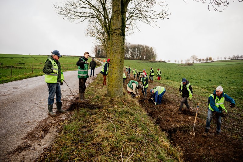 Natuurkracht de Langste haag van Limburg 25-11-2023 (Jonathan Vos Photography)